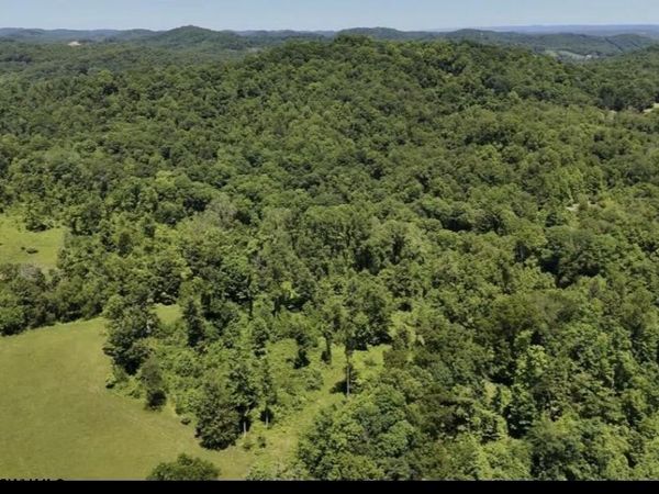43 ACs Ices Run, Fairmont, WV 26554