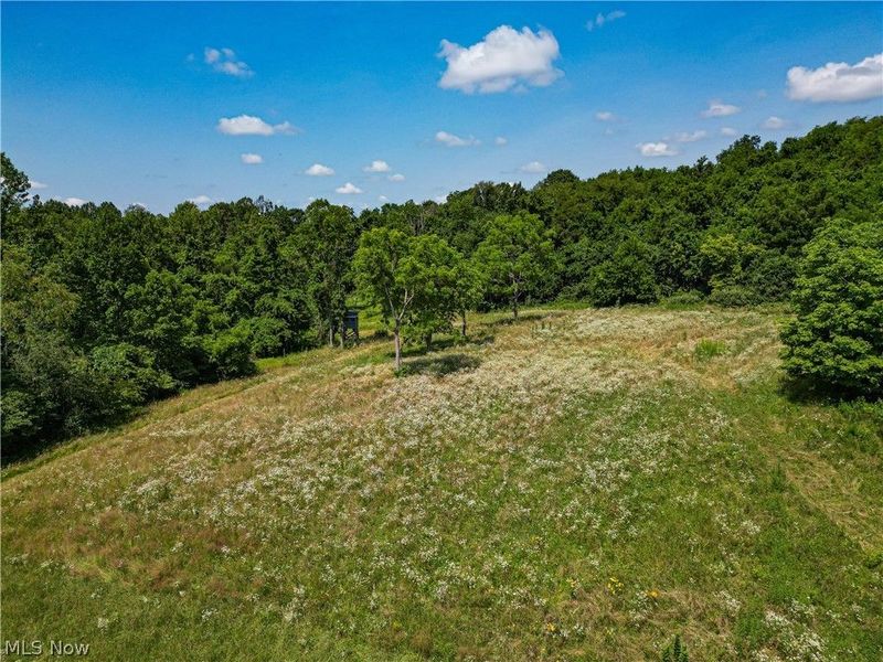 27339 Tabor Ridge Road, Caldwell, OH 43724 Photo 10