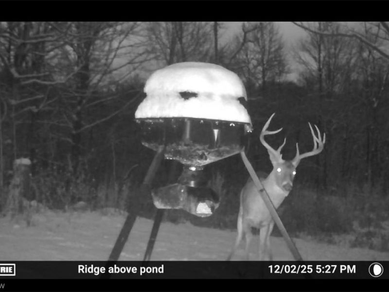 27339 Tabor Ridge Road, Caldwell, OH 43724 Photo 16