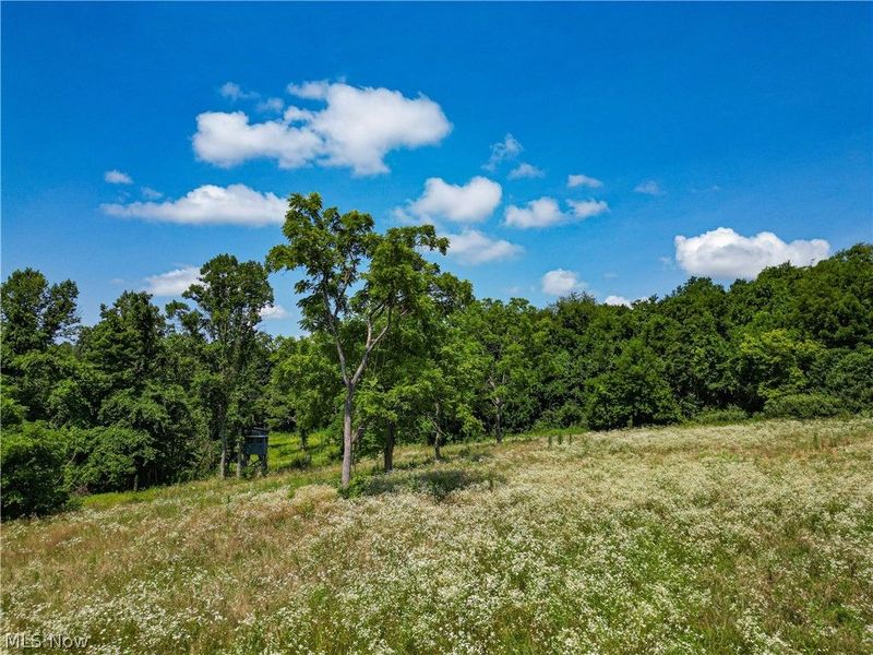 27339 Tabor Ridge Road, Caldwell, OH 43724 Photo 22
