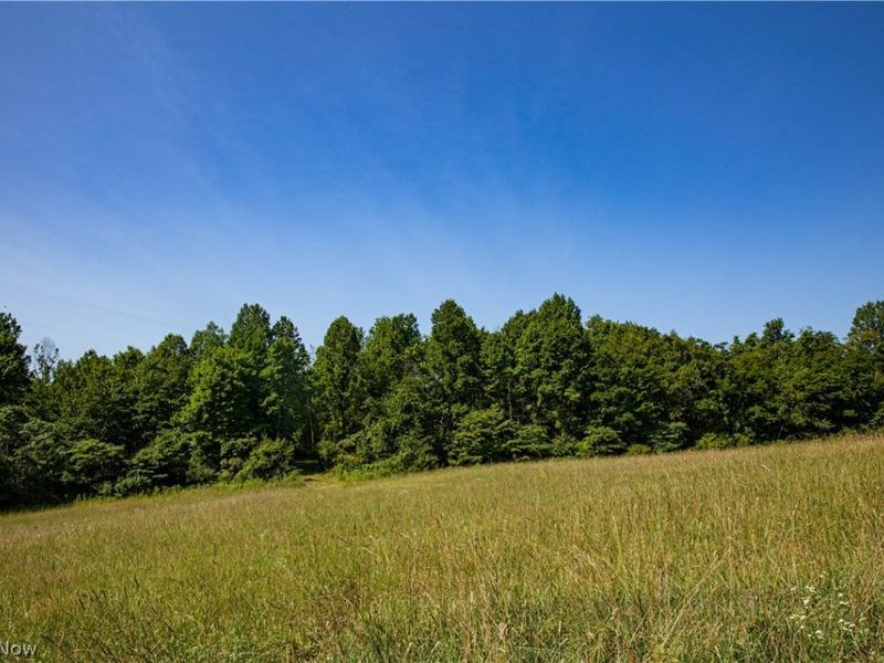 27339 Tabor Ridge Road, Caldwell, OH 43724 Photo 25