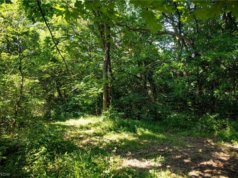27339 Tabor Ridge Road, Caldwell, OH 43724 Photo 29
