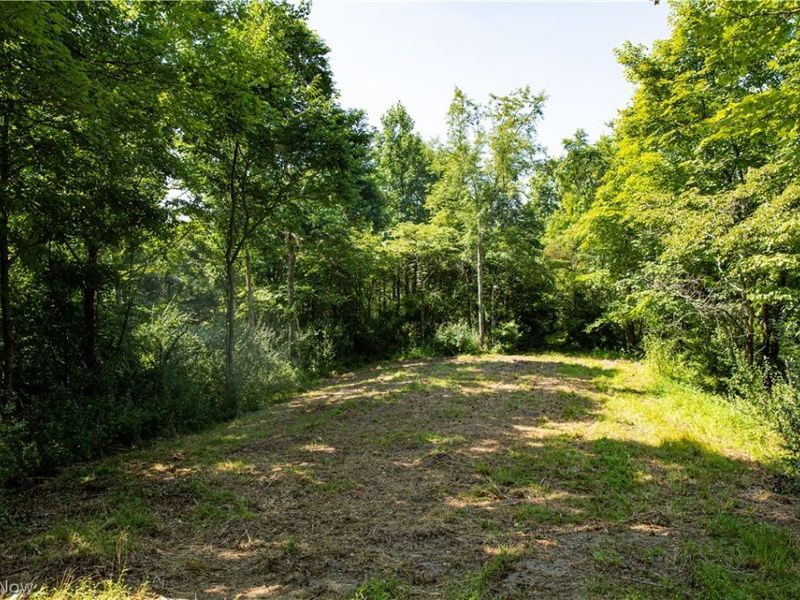27339 Tabor Ridge Road, Caldwell, OH 43724 Photo 3