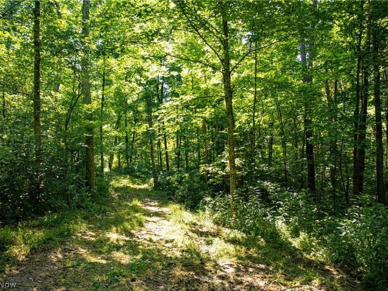 27339 Tabor Ridge Road, Caldwell, OH 43724 Photo 33