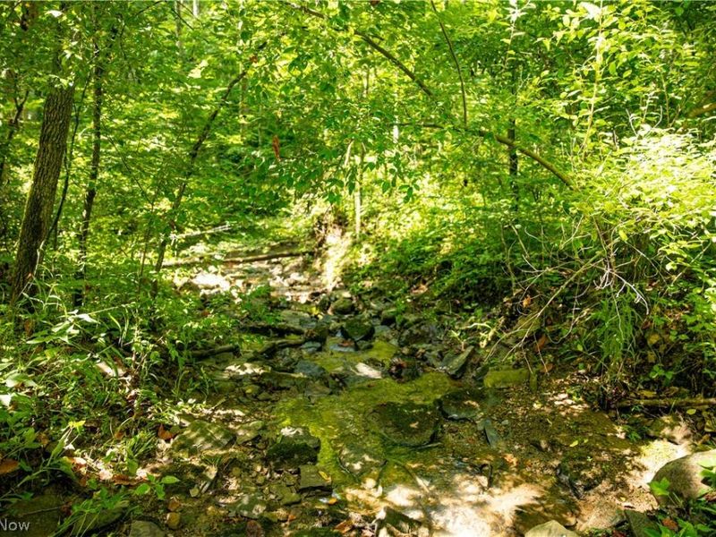 27339 Tabor Ridge Road, Caldwell, OH 43724 Photo 34