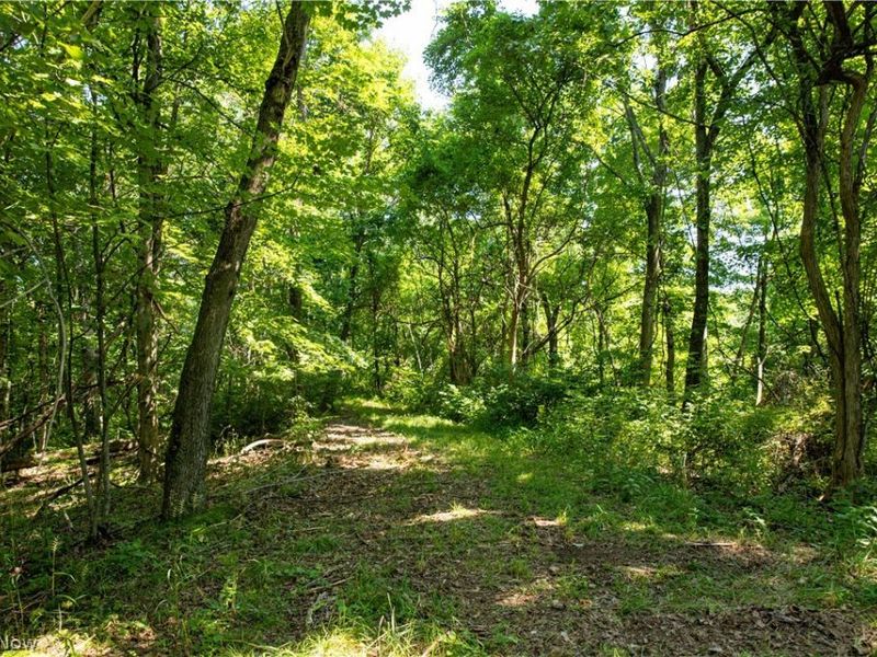 27339 Tabor Ridge Road, Caldwell, OH 43724 Photo 42