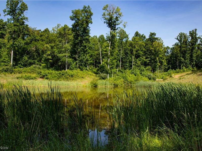 27339 Tabor Ridge Road, Caldwell, OH 43724 Photo 44