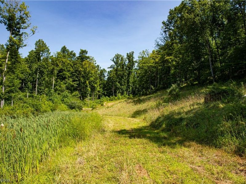 27339 Tabor Ridge Road, Caldwell, OH 43724 Photo 45