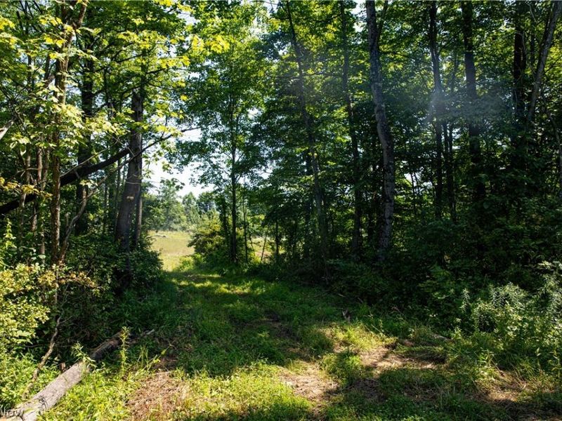 27339 Tabor Ridge Road, Caldwell, OH 43724 Photo 47