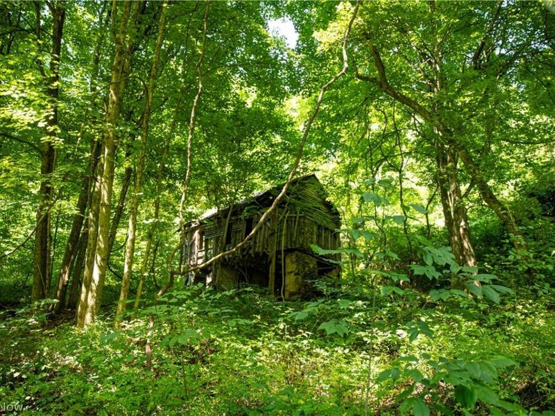 27339 Tabor Ridge Road, Caldwell, OH 43724 Photo 48