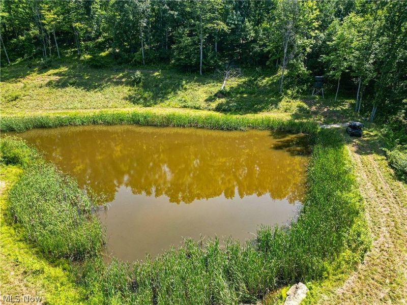 27339 Tabor Ridge Road, Caldwell, OH 43724 Photo 7