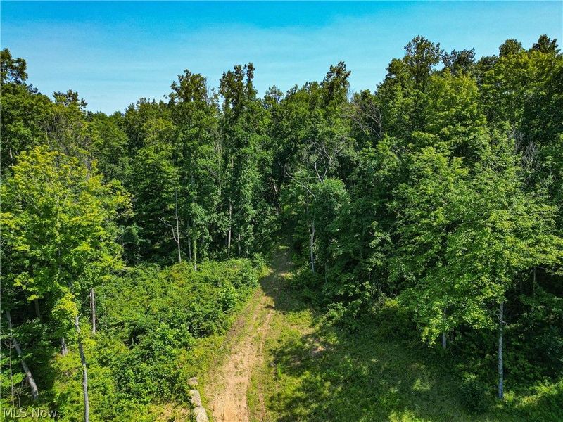 27339 Tabor Ridge Road, Caldwell, OH 43724 Photo 9