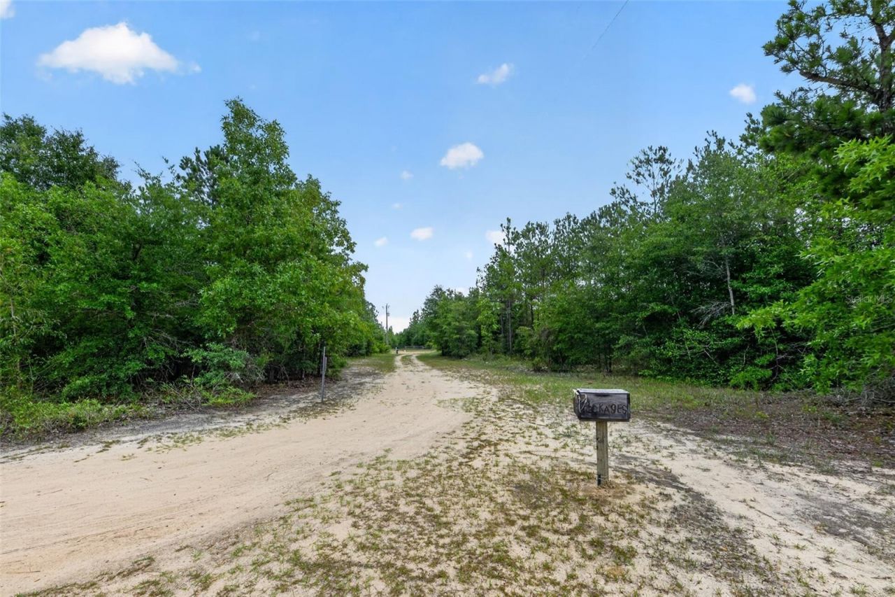 1675 Aspalaga Road , Quincy, FL 32351 Photo