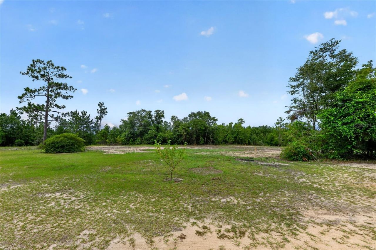 1675 Aspalaga Road , Quincy, FL 32351 Photo