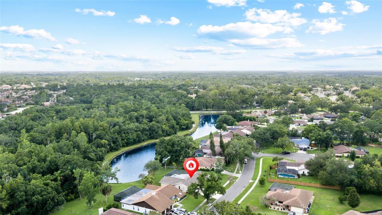 14011 Wolcott Drive , Tampa, FL 33624 Photo
