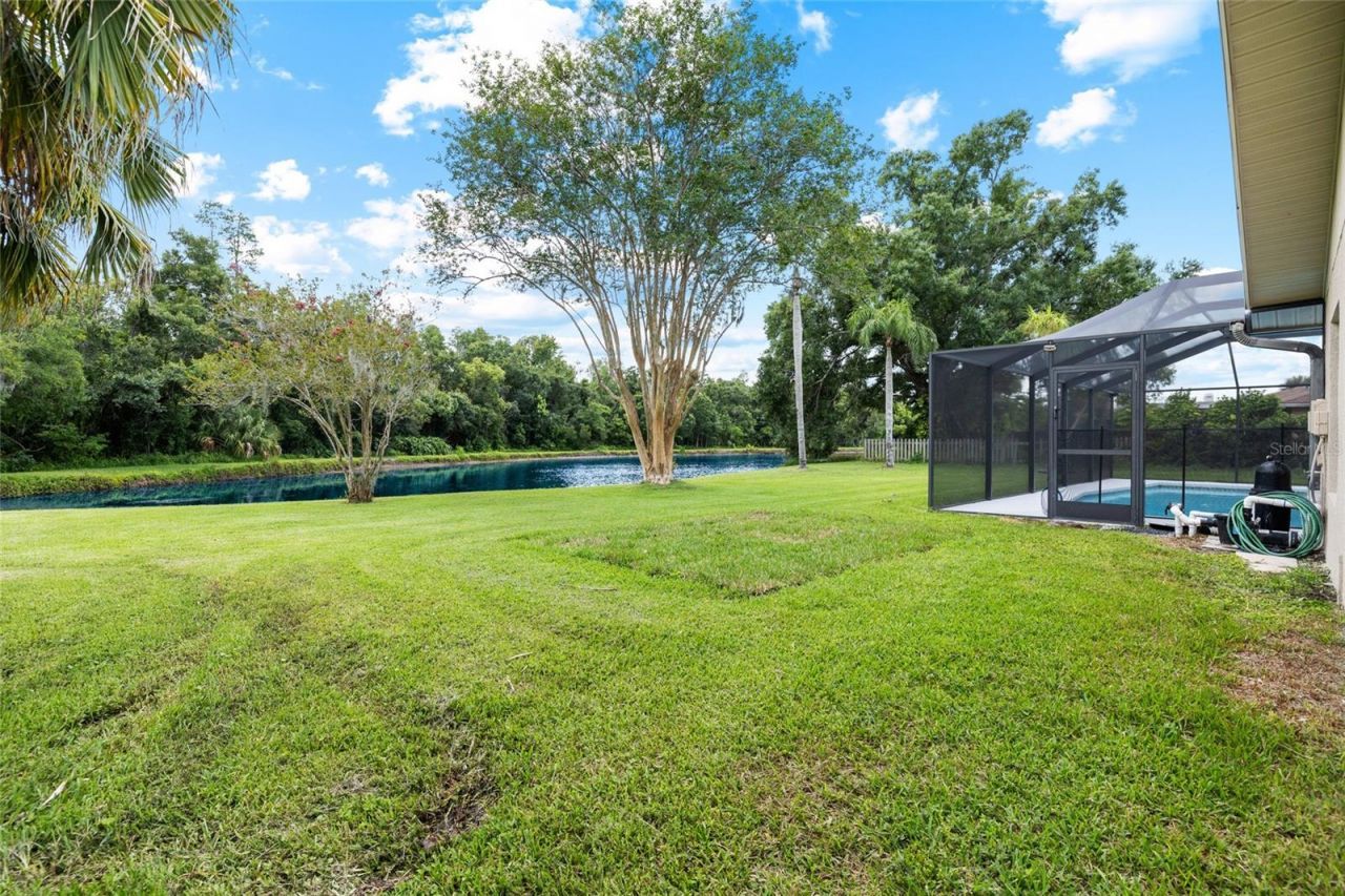 14011 Wolcott Drive , Tampa, FL 33624 Photo