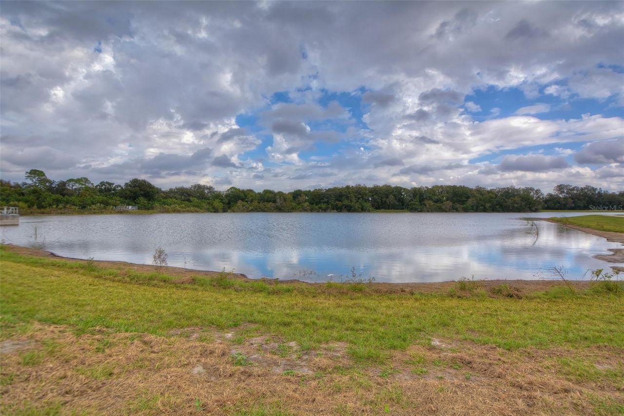 14011 Wolcott Drive , Tampa, FL 33624 Photo