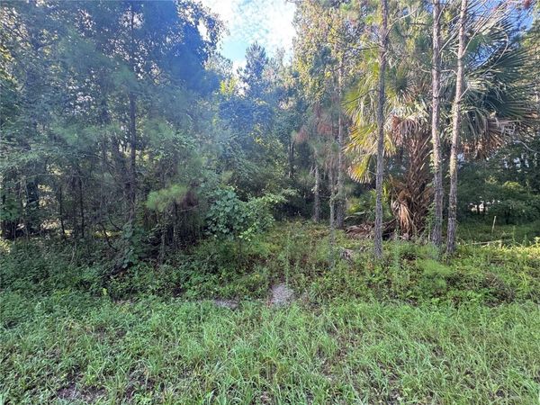 TBD SEQUOIA LOOP DRIVE , OCKLAWAHA, FL 32179