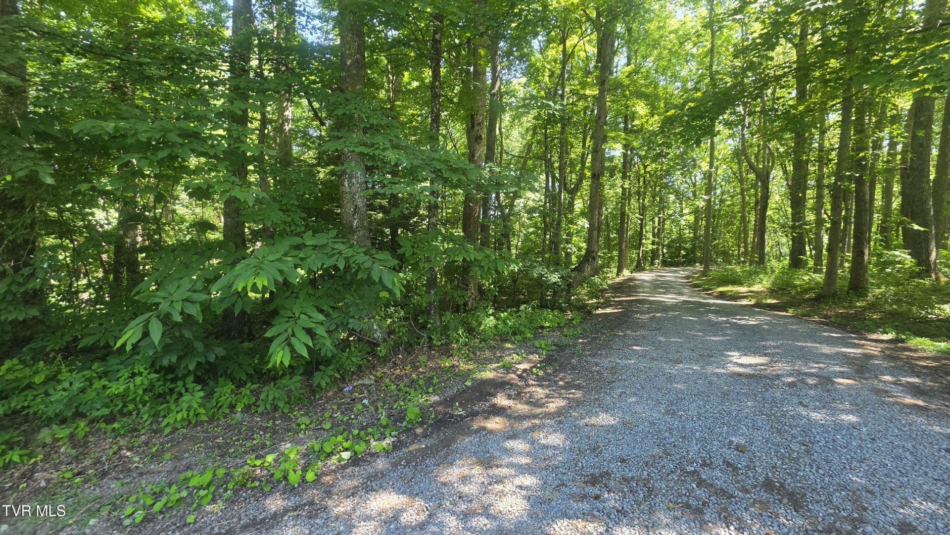 Tbd Forest Road, Coeburn, VA 24230 Main Photo