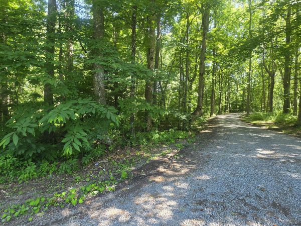 Tbd Forest Road, Coeburn, VA 24230