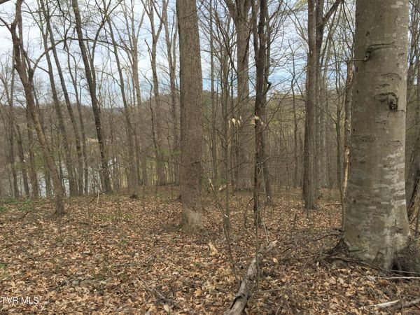 00 Horseshoe Bend Road, Rogersville, TN 37857