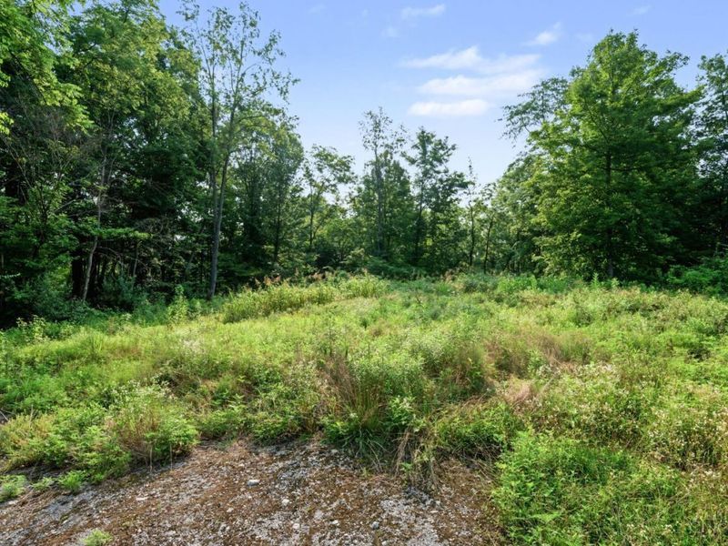 5793 Brant Road, Salem Twp, OH 45152 Photo 4