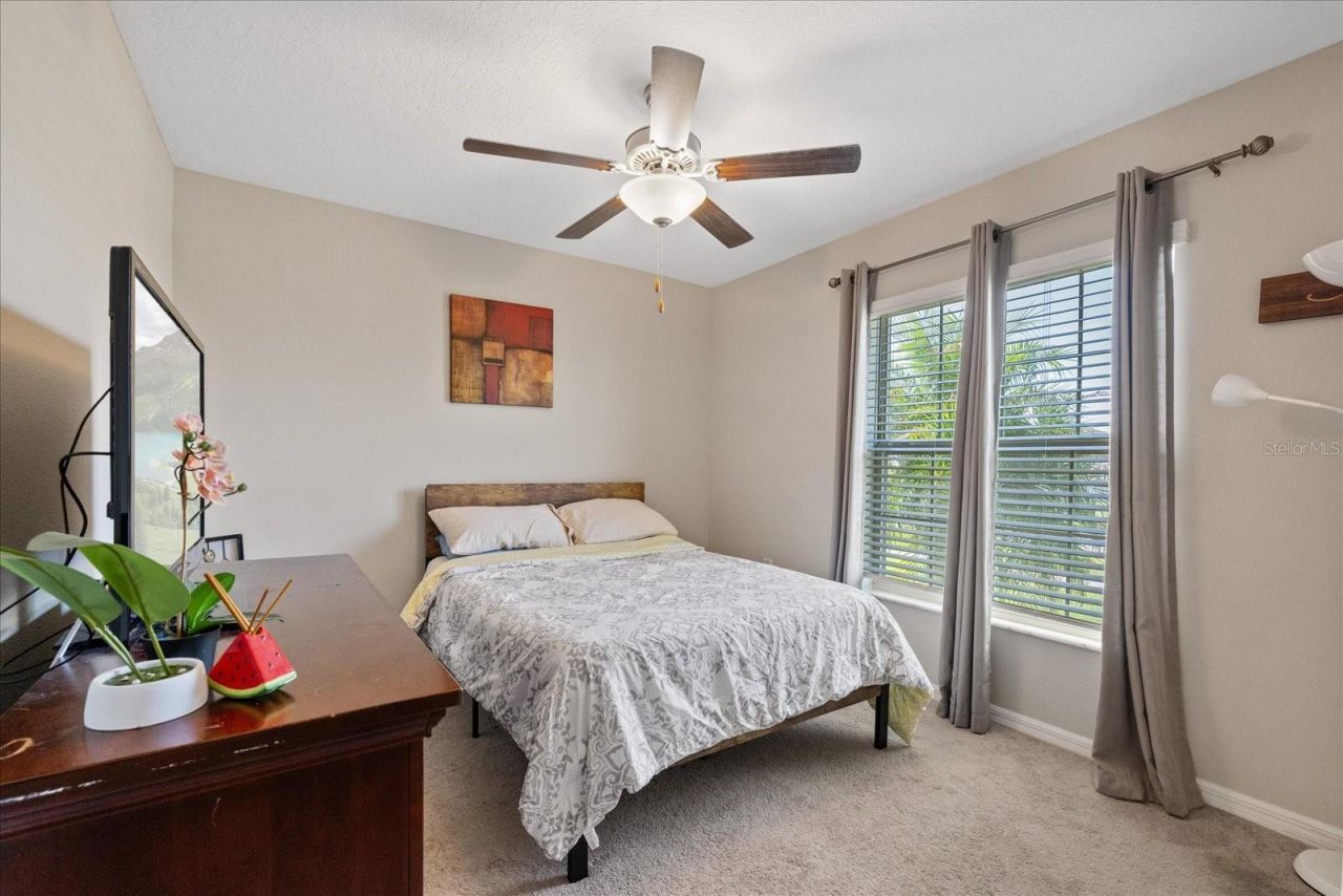 11803 Blackeyed Susan Drive , Riverview, FL 33579 Photo