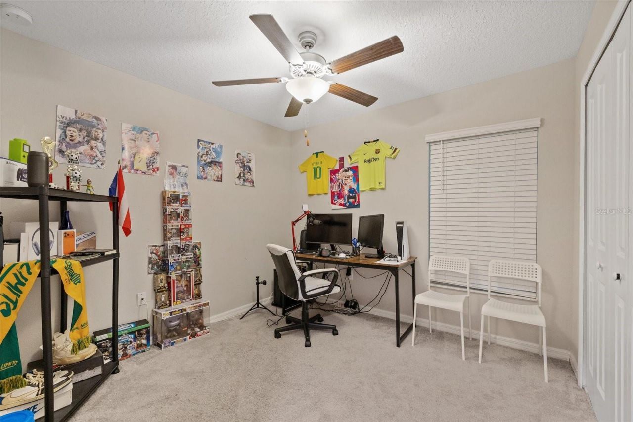 11803 Blackeyed Susan Drive , Riverview, FL 33579 Photo