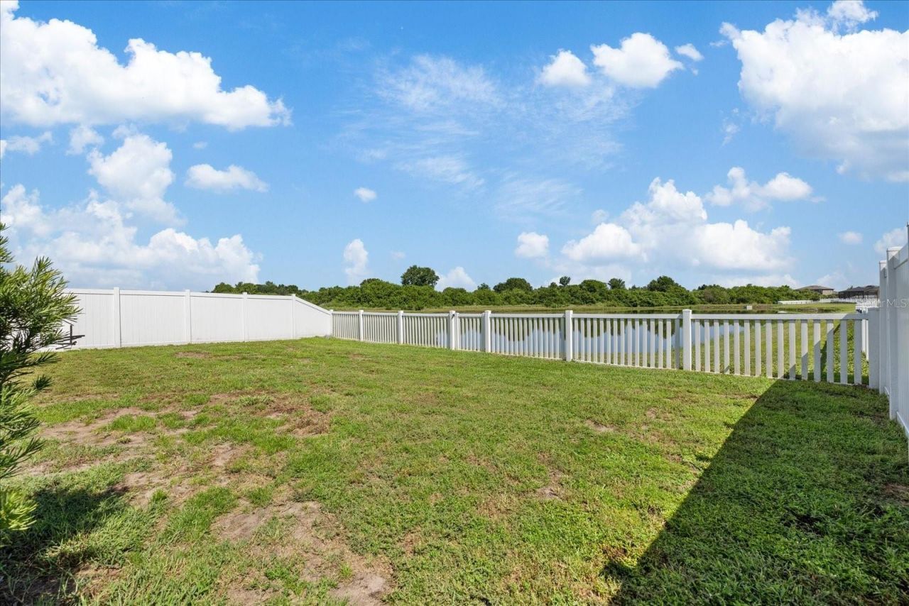 11803 Blackeyed Susan Drive , Riverview, FL 33579 Photo