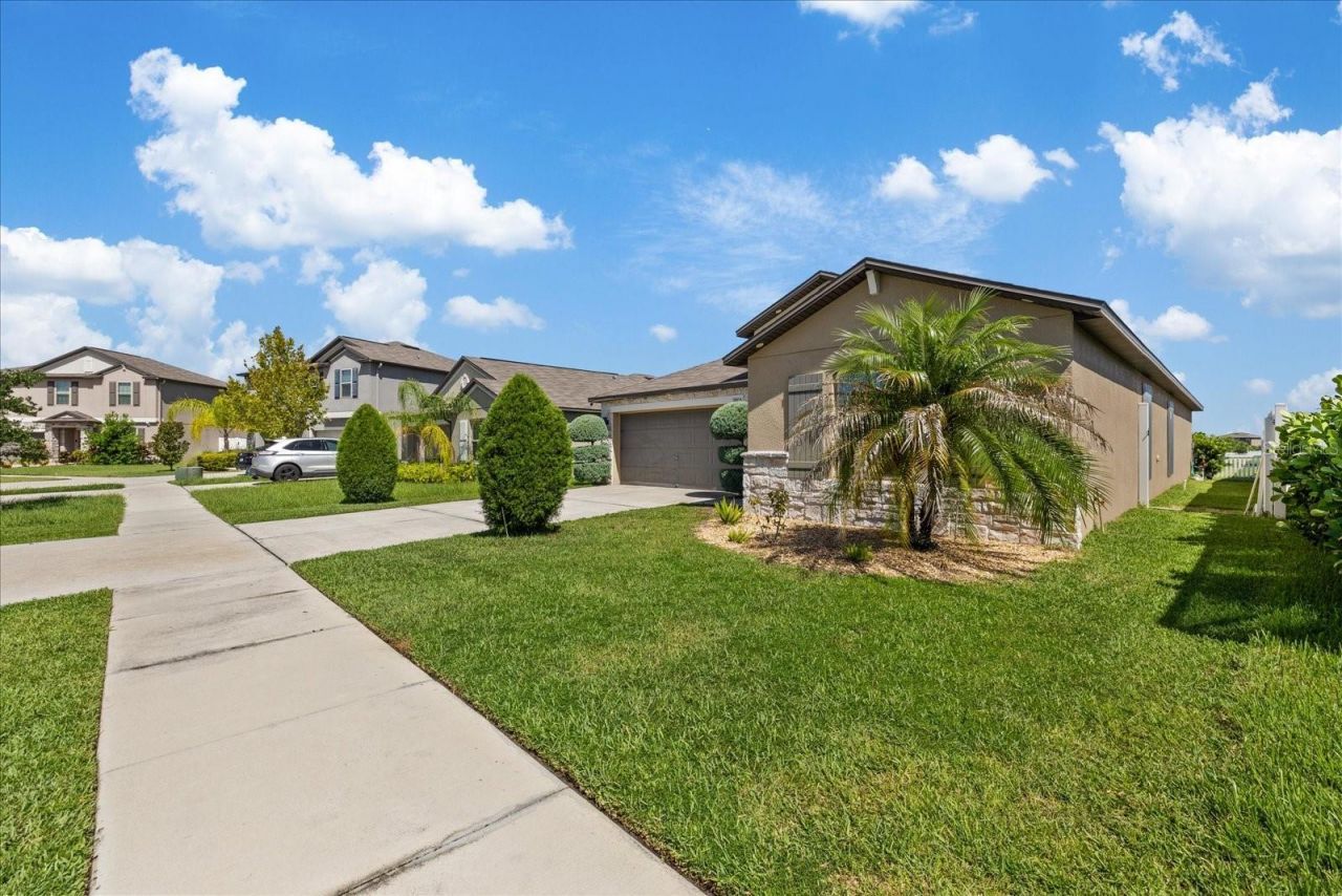 11803 Blackeyed Susan Drive , Riverview, FL 33579 Photo