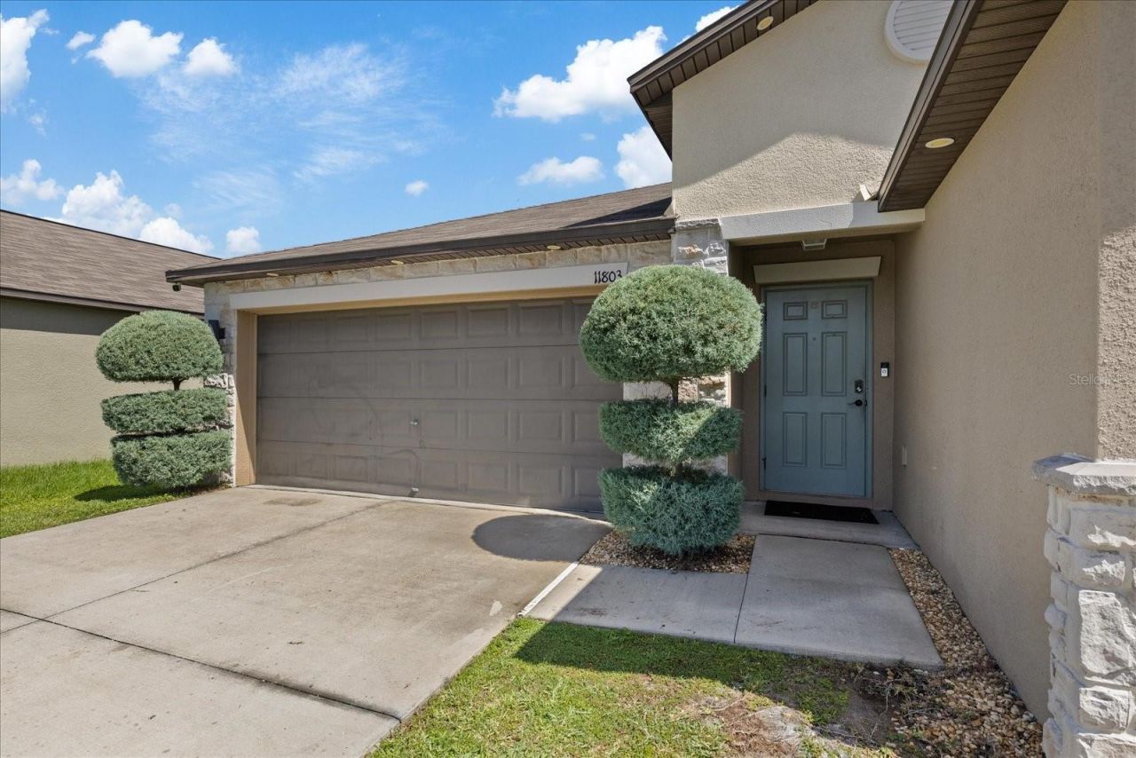 11803 Blackeyed Susan Drive , Riverview, FL 33579 Photo