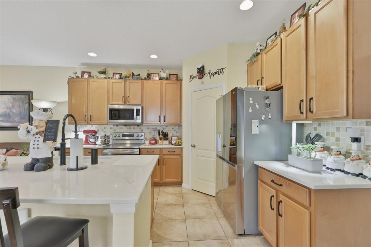 8718 Turnstone Haven Place, Tampa, FL 33619 Photo