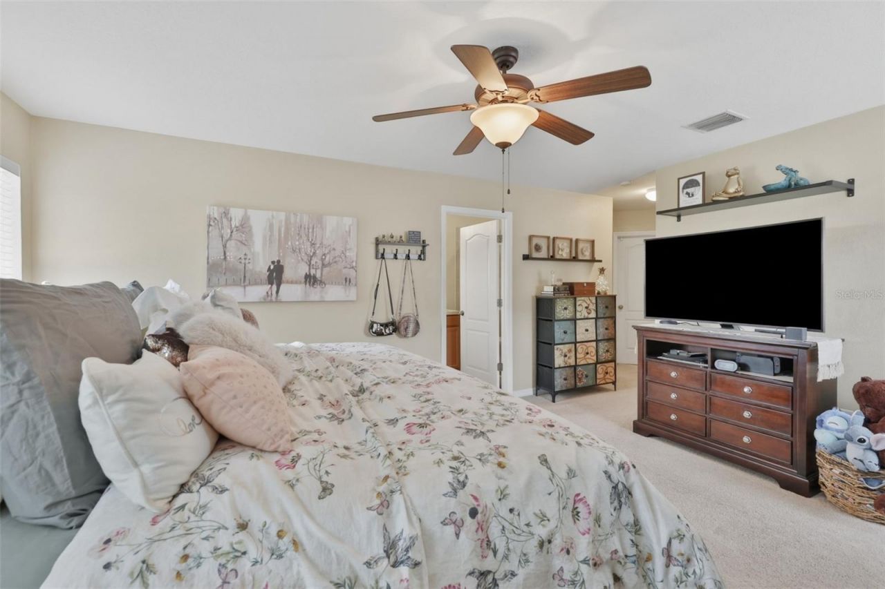 8718 Turnstone Haven Place, Tampa, FL 33619 Photo