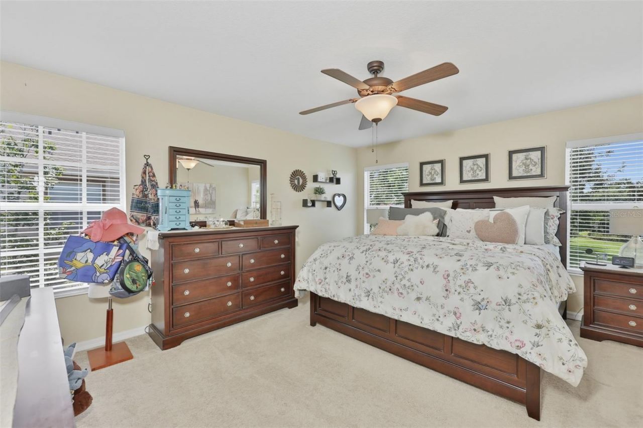 8718 Turnstone Haven Place, Tampa, FL 33619 Photo
