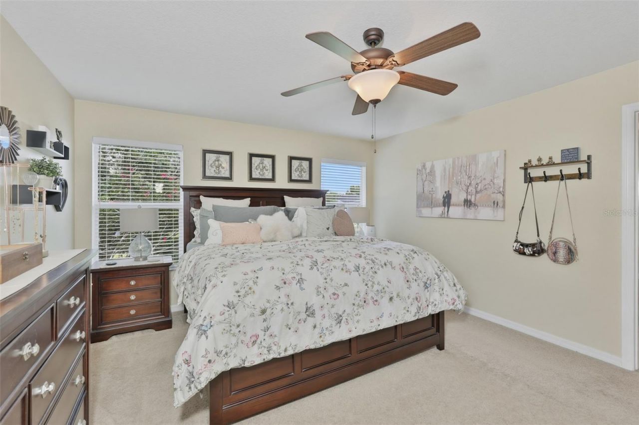 8718 Turnstone Haven Place, Tampa, FL 33619 Photo