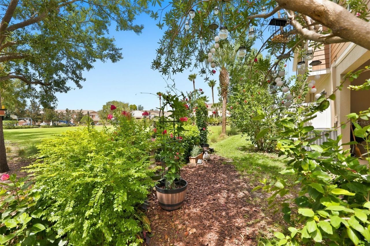 8718 Turnstone Haven Place, Tampa, FL 33619 Photo