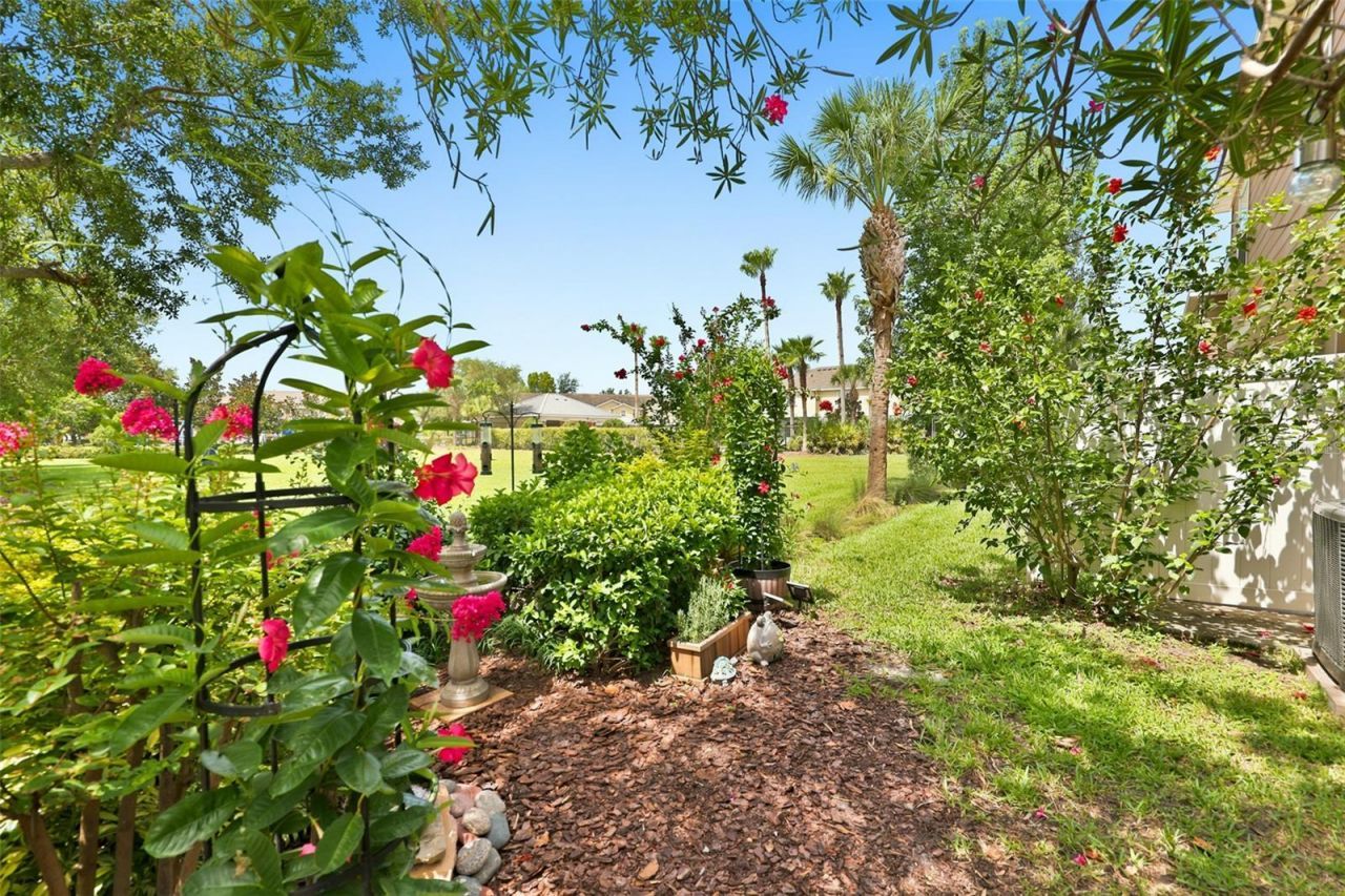 8718 Turnstone Haven Place, Tampa, FL 33619 Photo