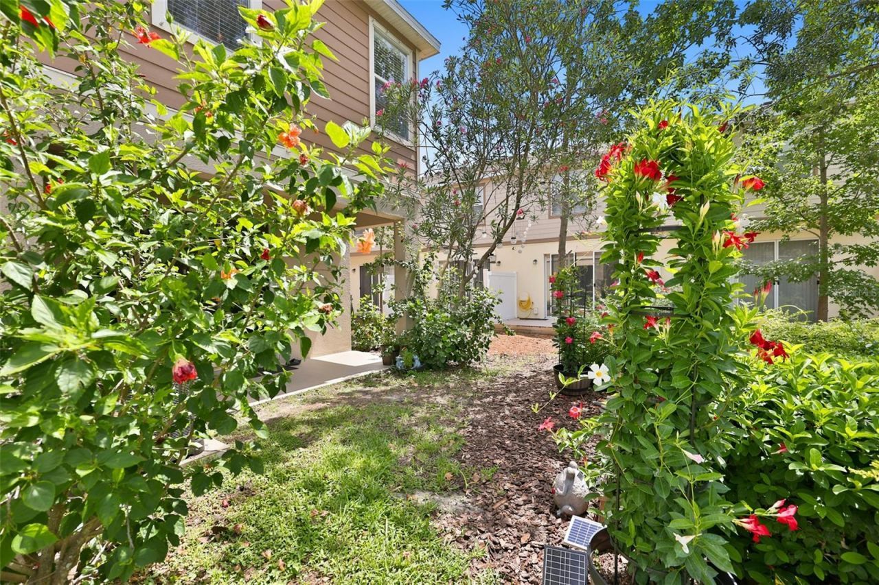 8718 Turnstone Haven Place, Tampa, FL 33619 Photo