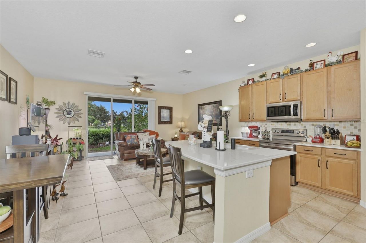 8718 Turnstone Haven Place, Tampa, FL 33619 Photo