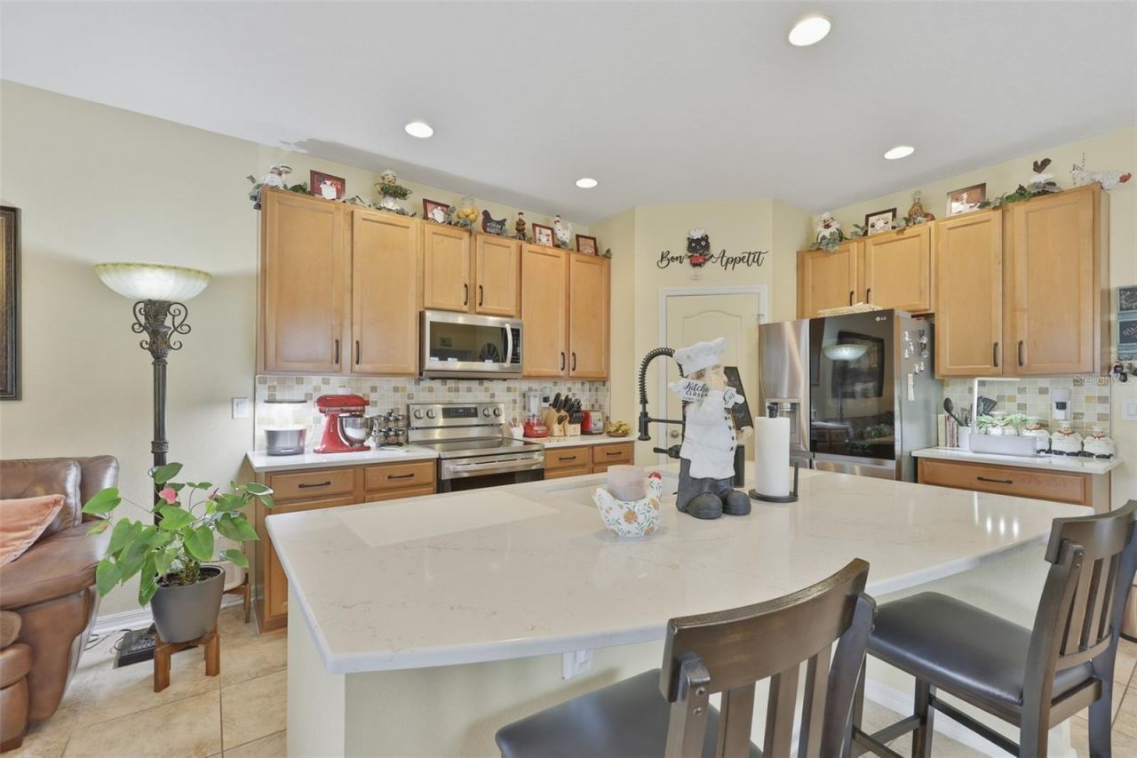 8718 Turnstone Haven Place, Tampa, FL 33619 Photo