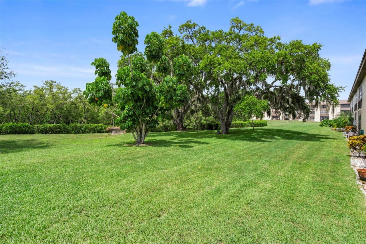4849 Onyx Lane , Unit 204, New Port Richey, FL 34652 Photo