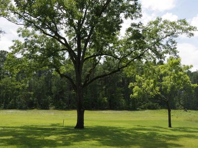 2249 Pepper Road, Lexington, SC 29073
