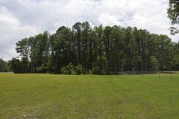 2249 Pepper Road photo 4