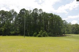 2249 Pepper Road photo 4