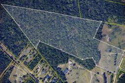2249 Pepper Road photo 4