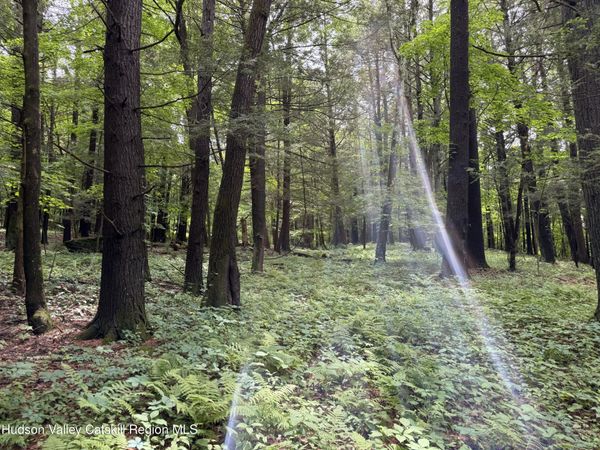 Tbd Green Lake Road, Athens, NY 12015