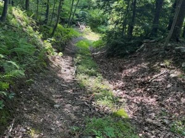 0 HAUTO , NESQUEHONING, PA 18240
