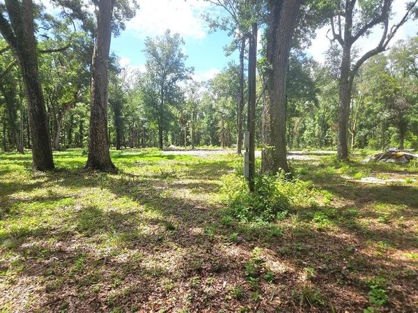 510 NE 249th Ave, Old Town, FL 32680