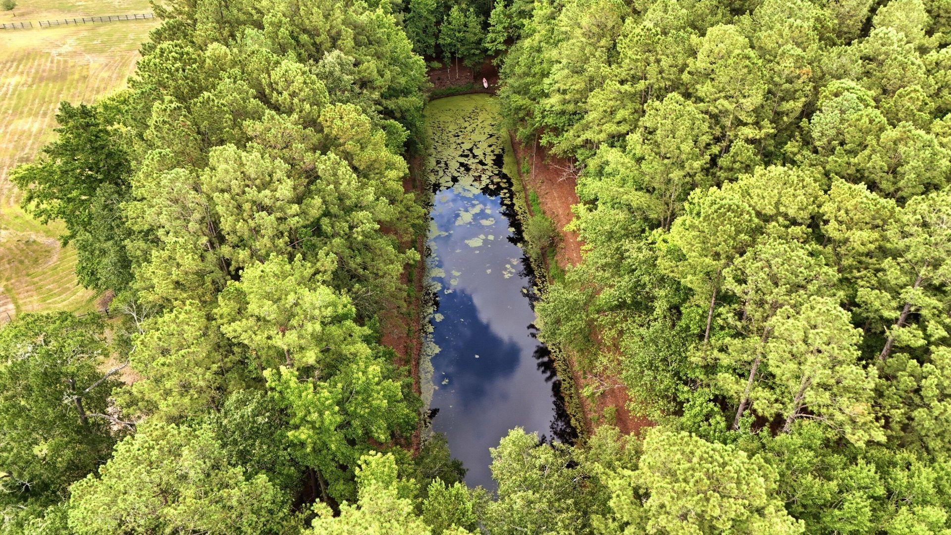 10007 Jacksonboro Photo 36