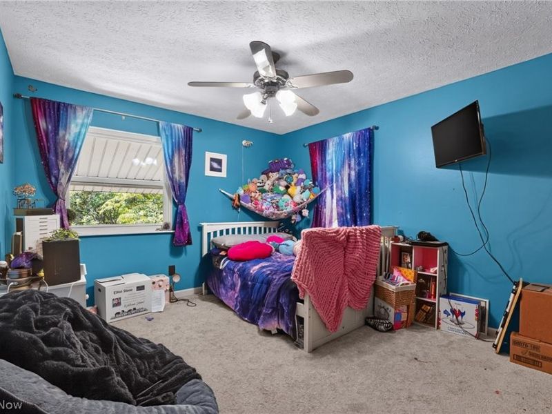 5641 Meister Road, Mentor, OH 44060 Photo 24